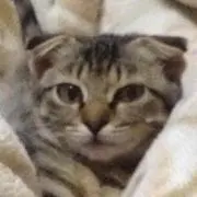 くに