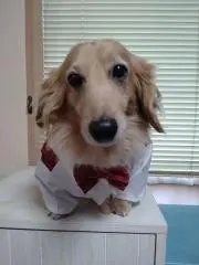 ゆきぴー