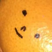 でめ