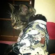 めぐ