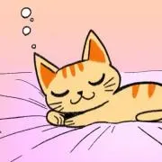 みかんの画像