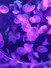 あしょこ♦プロフ確認お願いします‼の画像