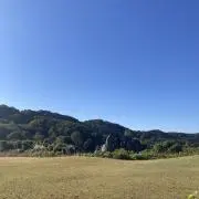 ノイ　ヨシテツの画像