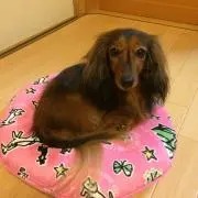 まるさん