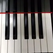 よってぃーの画像