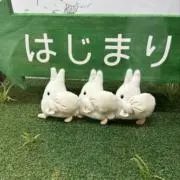 kurakombの画像