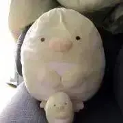 アナ(プロフ必読)の画像