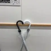 らんの画像