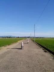 haruの画像