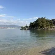 ポンタの画像