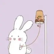 キキミミの画像