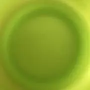 わだちの画像