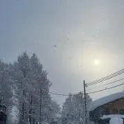 メルカるんごの画像