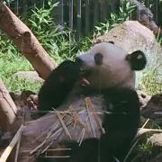 暇人☆ひまちゃん