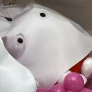 ぷいぷいの画像