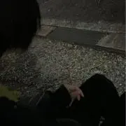 れ