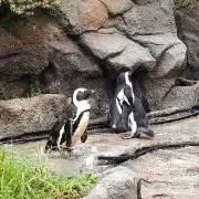 ユウキ921の画像