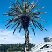 MALYの画像