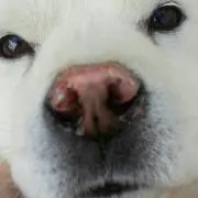 Kazuの画像