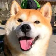 きょん