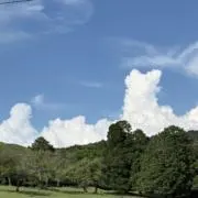 モンちっちぃの画像