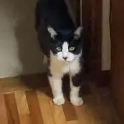 まさひろの画像