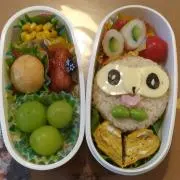 きょんの画像