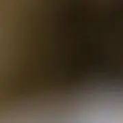 ねむの画像