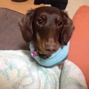☆ベル☆
