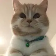りん