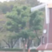 ジョシュア