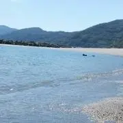 トコトコ