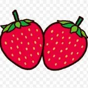 いちごの画像
