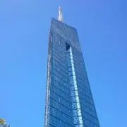 T Mの画像