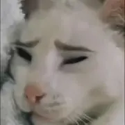 かまっち