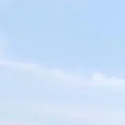 かぴの画像