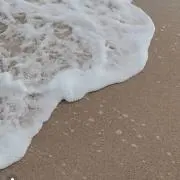 _jueryの画像