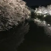 東北の人@無言購入OKの画像