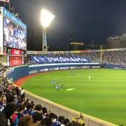 ヤマッコの画像