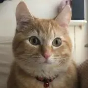 SaM