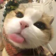 ニルの画像