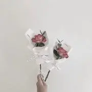 みち枝の画像