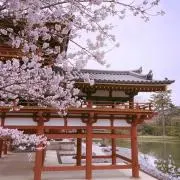 mihiroの画像