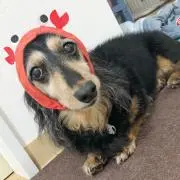 あーちゃん