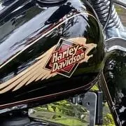 イージーライダース easyriders スポーツスター XLH風 - メルカリ