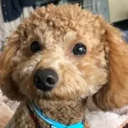 かたは