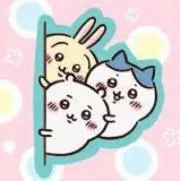 Miicoの画像