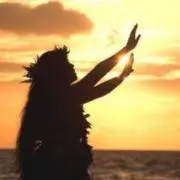 青薔☆薇（お休み中）