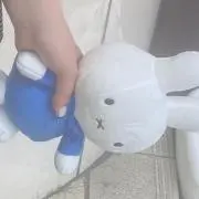 zunの画像