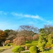 あきこの画像